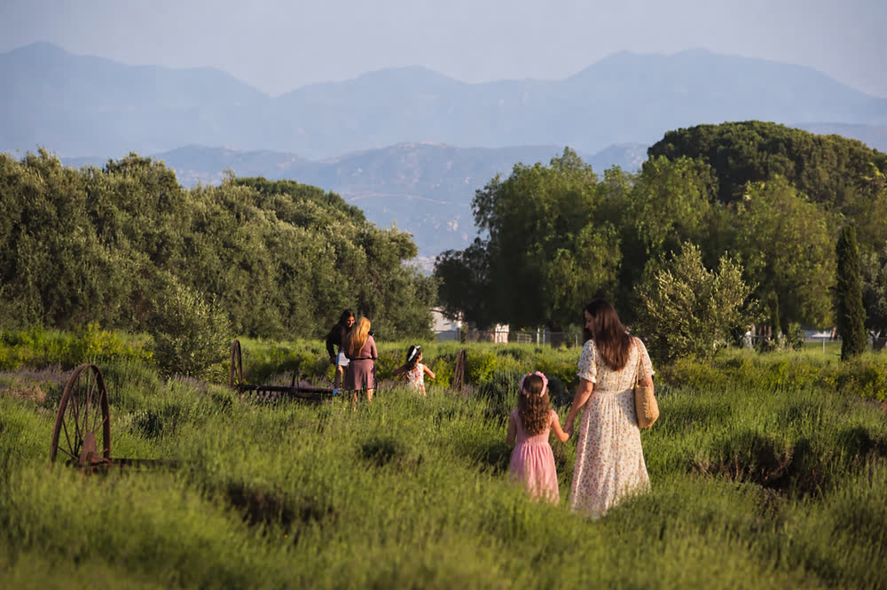 A mother and daughters walking through spring fields