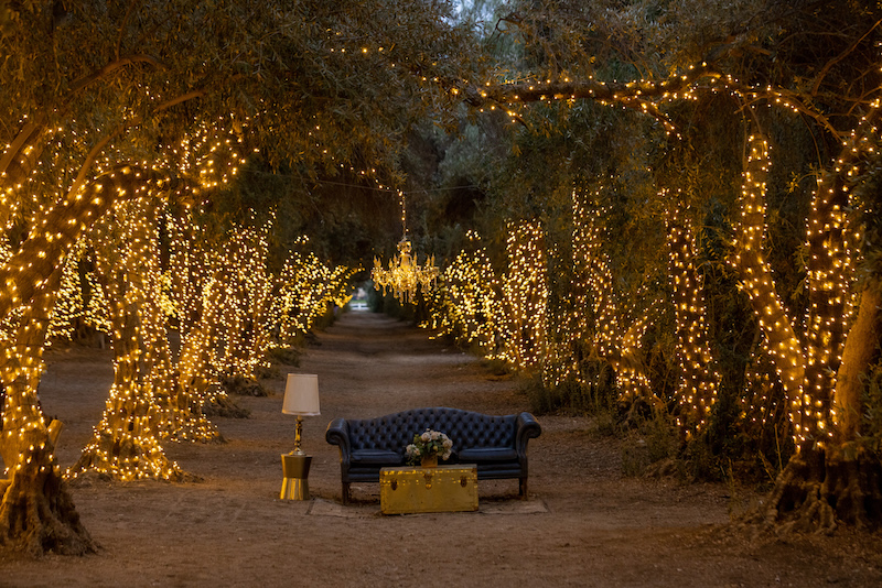 An olive grove path lined with glowing lights, a vintage sofa and chandelier beneath the trees