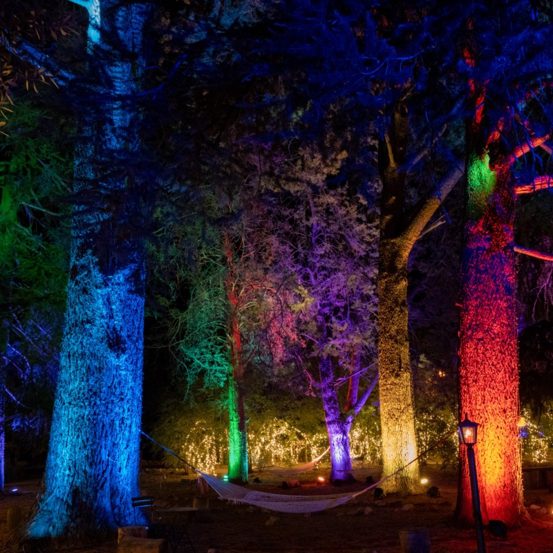 Hammock beneath trees lit in rainbow colors