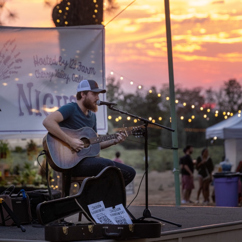 Guitarist performing at sunset