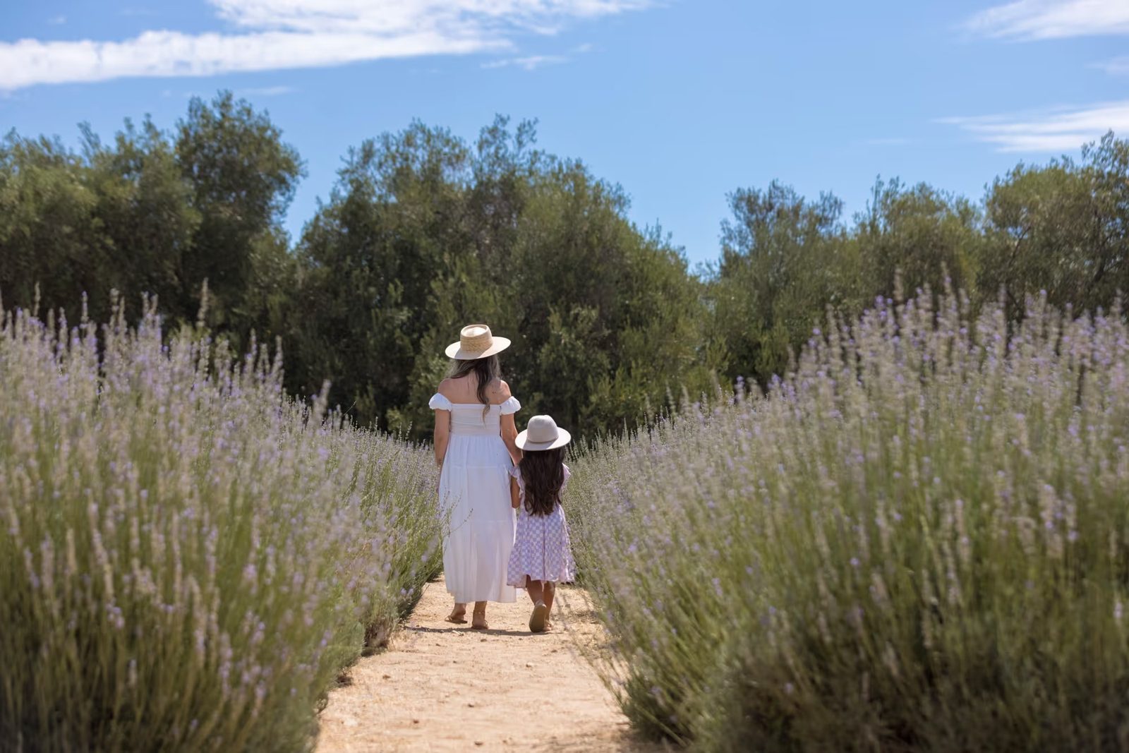 A mother and daughter walking between rows of blooming lavender