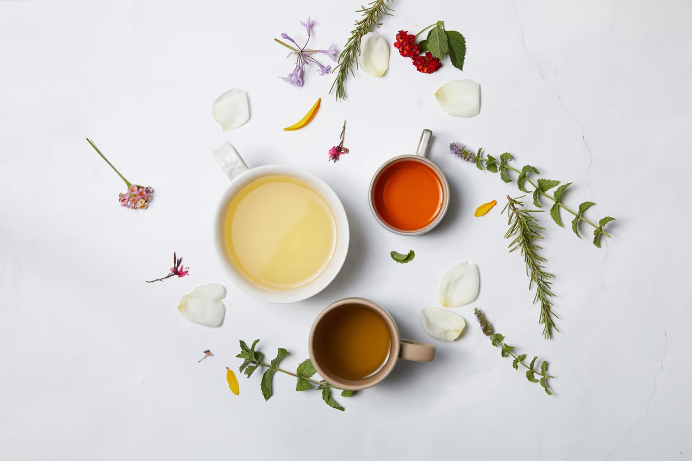 Cups of tea with herbs and flowers